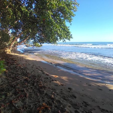 Escape Caribeno 호텔 Puerto Viejo de Talamanca 외부 사진