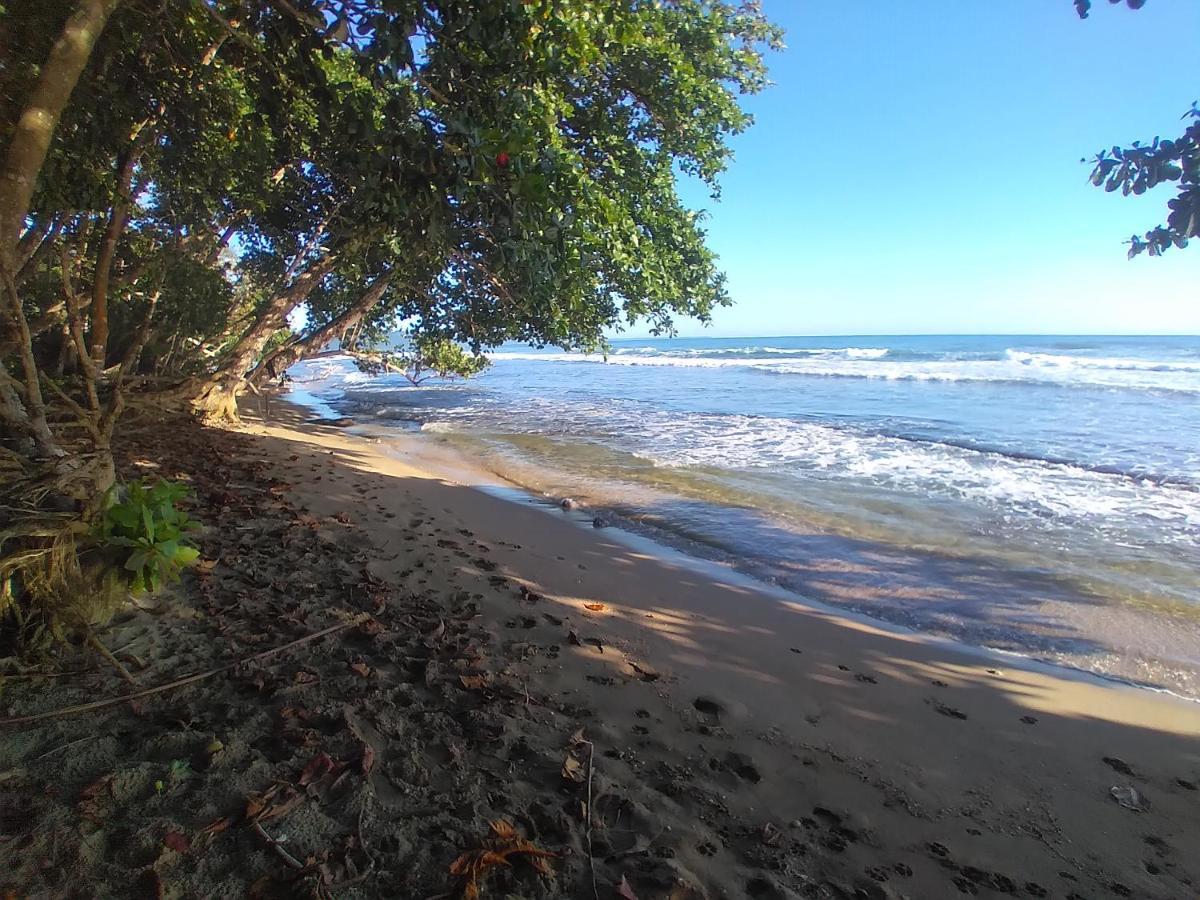 Escape Caribeno 호텔 Puerto Viejo de Talamanca 외부 사진