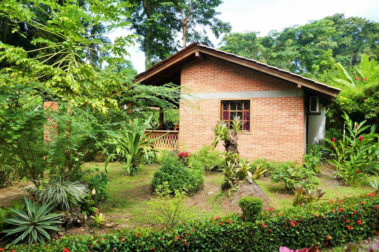 Escape Caribeno 호텔 Puerto Viejo de Talamanca 외부 사진