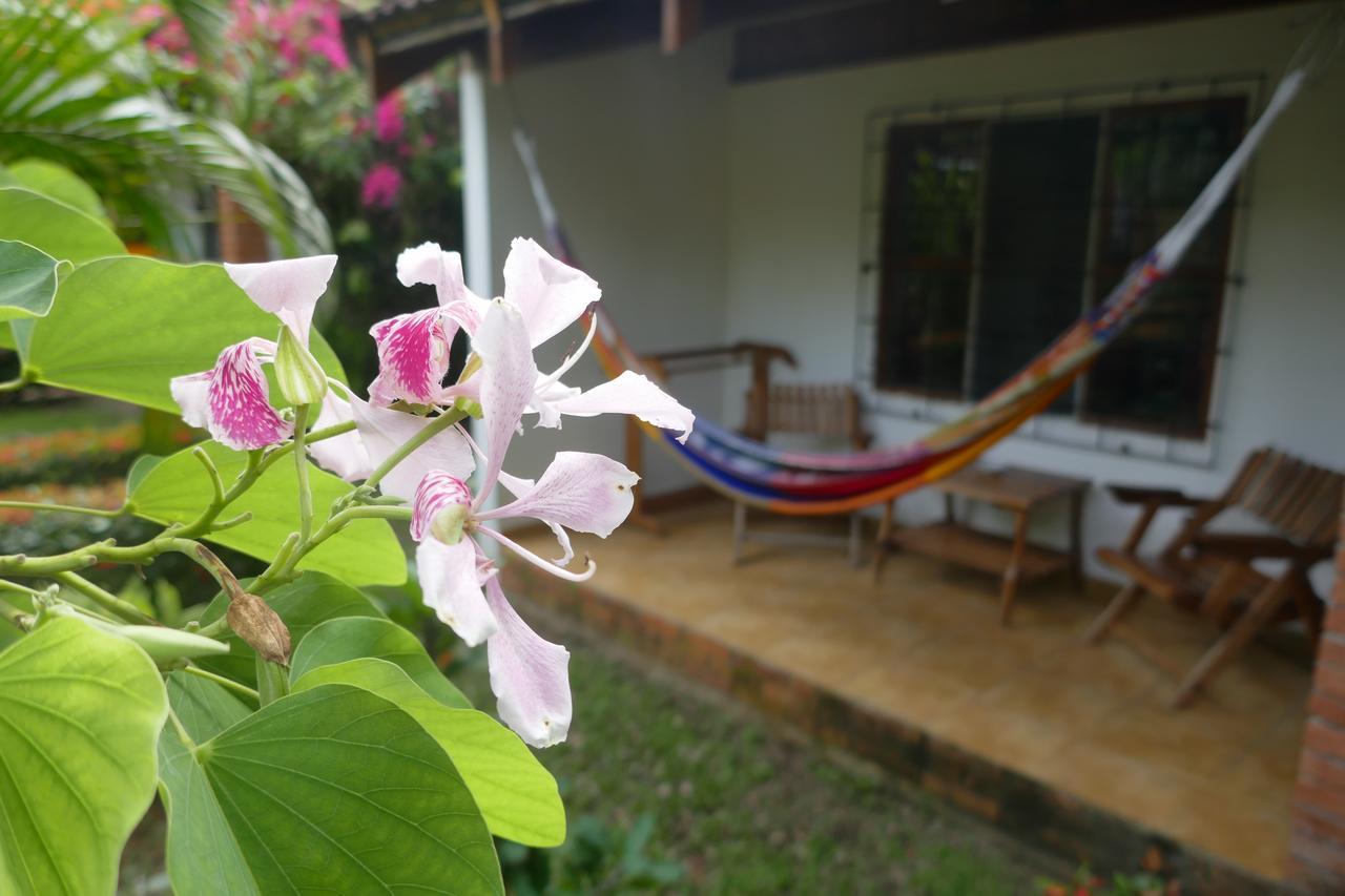 Escape Caribeno 호텔 Puerto Viejo de Talamanca 외부 사진