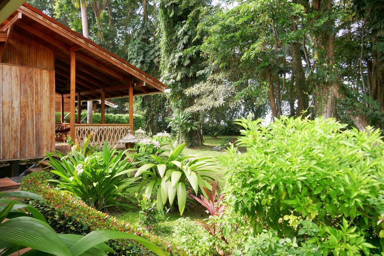 Escape Caribeno 호텔 Puerto Viejo de Talamanca 외부 사진