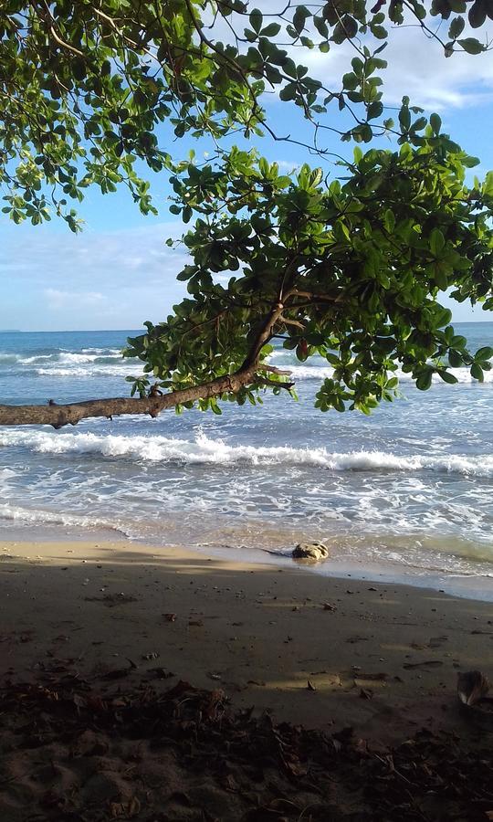 Escape Caribeno 호텔 Puerto Viejo de Talamanca 외부 사진